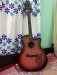 Acoustic Guitar